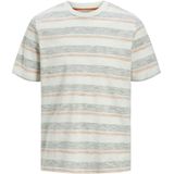 Jack & Jones Jjbirk T-shirt - Multicolor - Katoen - Ronde Hals - Korte Mouwen