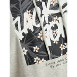 JACK & JONES - Hoodie - Mêlee Ecru - Katoen - Met Kap - Lange Mouwen