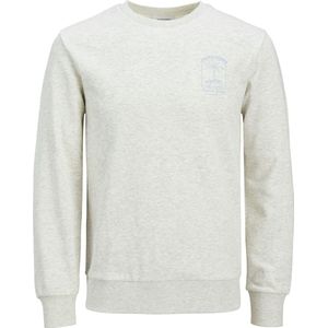JACK&JONES - JJONE COLOR SUMMER SWEAT CREW NECK - Heren - Sweaters