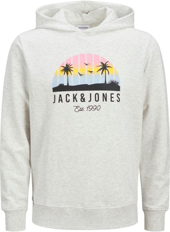 Jack & Jones - Palm Hoodie - Groen - Katoen/Polyester - Regular Fit