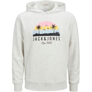 Jack & Jones - Palm Hoodie - Pullover - Groen - 60% Katoen, 40% Polyester