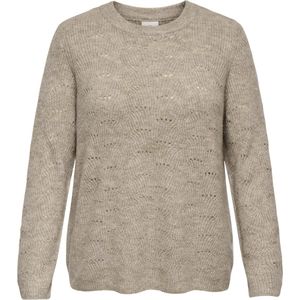 Carlolli - Gebreide Pullover - O-hals - Lange Mouwen - Knit Fit