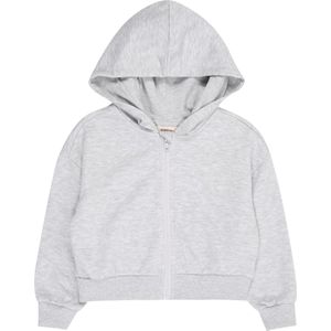 Kogfave - Hoodie - Grijs - Katoen - Regular Fit