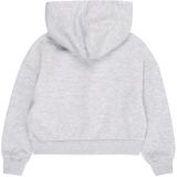 Kogfave - Hoodie - Grijs - Katoen - Regular Fit