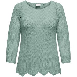 ONLY Carmakoma Trui 'CARNOLA'  mintgroen