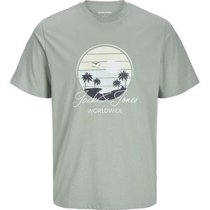 JACK&JONES - JJPALM TEE SS CREW NECK JNR - Jongens - T-shirts