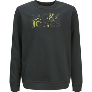 Jack&jones - Jjstyd Corp Splash Sweat Crew N. Ln Jnr - Jongens - Sweaters