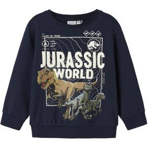 Jurassic Sweatshirt