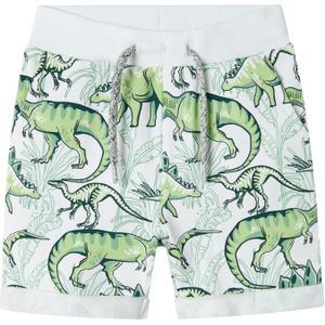 Print - Korte Broeken - Multi - Ongeborstelde Sweatstof - Regular Fit