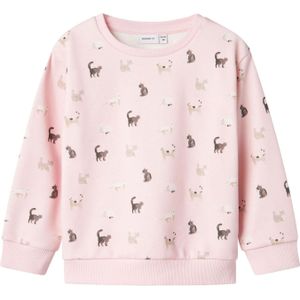 Name It - Trui - Kattenprint - Normale Pasvorm - Raglanmouwen