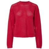 Pcscout - Gebreide Trui - Ronde Hals - Lange Mouwen - Geribde Manchetten