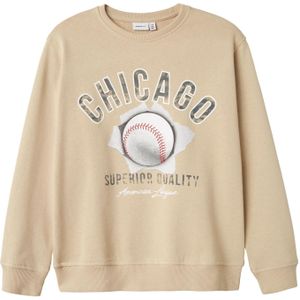 Regular Fit - Sweatshirt - Grijs - Katoen