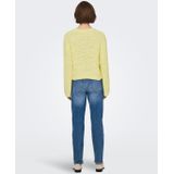 Onlgloria - Gebreide Pullover - Zacht - Lange Mouwen - Regular Fit