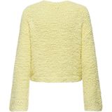 Onlgloria - Gebreide Pullover - Zacht - Lange Mouwen - Regular Fit