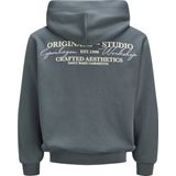 Jack & Jones - Sweater - Zwart - Katoen/Polyester - Capuchon