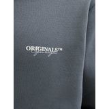 Jack & Jones - Sweater - Zwart - Katoen/Polyester - Capuchon