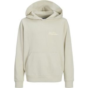 Jack & Jones - Type Sweat Hood Back Jnr - Celadon Tint - Sweatshirt - Tieners - Losse Pasvorm