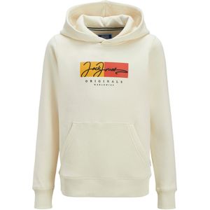 Jack & Jones - Frederiksberg Box Hoodie - Groen - Katoen