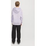 Jack&jones Jorvesterbro Sweat Hood Noos Jnr Jongens Sweaters