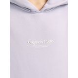 Jack&jones Jorvesterbro Sweat Hood Noos Jnr Jongens Sweaters