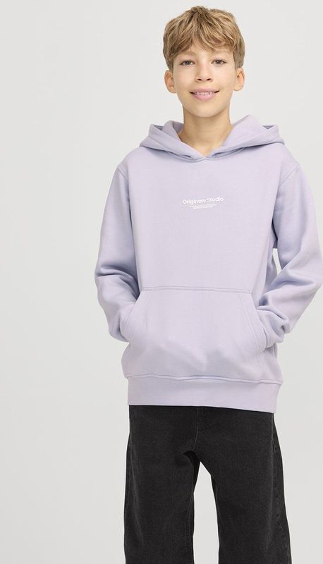 Jack&jones Jorvesterbro Sweat Hood Noos Jnr Jongens Sweaters