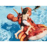 Colourblock - Zwembroek