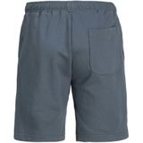 JACK & JONES JUNIOR - JPSTVESTERBRO - Korte Broek - Grijsblauw - Katoen en Polyester