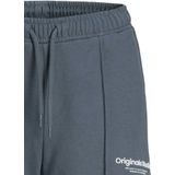 JACK & JONES JUNIOR - JPSTVESTERBRO - Korte Broek - Grijsblauw - Katoen en Polyester