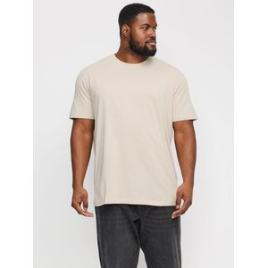 Jack & Jones - JJEORGANIC MEL TEE SS O-NECK NOOS PLS - T-shirt - Moonbeam - Slim Fit