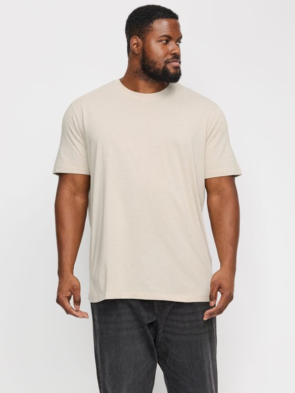 Jack & Jones - JJEORGANIC MEL TEE SS O-NECK NOOS PLS - T-shirt - Moonbeam - Slim Fit