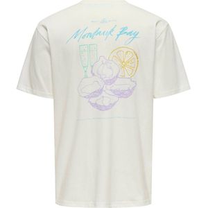 ONLY & SONS - ONSPICNIC - T-shirt - Wit - Relaxed Fit