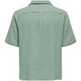 Only & sons onskyle 0158 ss shirt noos overhemd groen