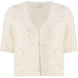 Only - ONLRENE LIFE SS BLING CARDIGAN - Vest - Birch - Korte Mouwen