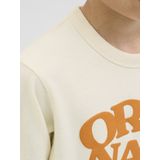 Jack & Jones Junior trui