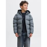 Jack & Jones - Junior - Gewatteerde Jas - Grijs - Warm Gevoerd