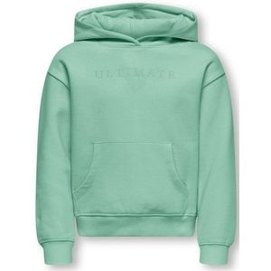 ONLY kids meisjes trui BILLIE Birds Egg Green Ultimate Loose Fit