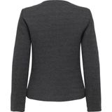 ONLY - ONLDia - Tussenjas - Grafiet / Lichtgrijs