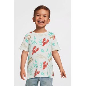NAME IT - T-shirt - Kinderen - Zwart - Katoen/Elastaan - Regular Fit
