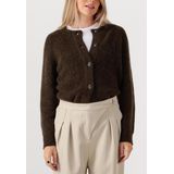 Vest - Ronde Hals - Lange Mouwen - Wol/Alpaca/Polyester - Normale Pasvorm