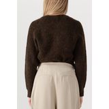 Vest - Ronde Hals - Lange Mouwen - Wol/Alpaca/Polyester - Normale Pasvorm