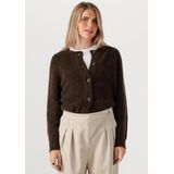 Vest - Ronde Hals - Lange Mouwen - Wol/Alpaca/Polyester - Normale Pasvorm