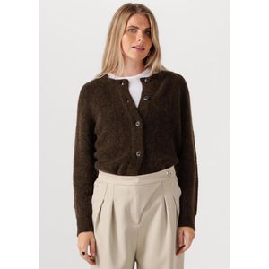 Vest - Ronde Hals - Lange Mouwen - Wol/Alpaca/Polyester - Normale Pasvorm