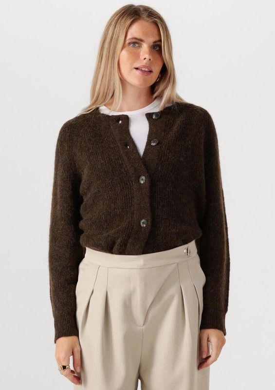 Vest - Ronde Hals - Lange Mouwen - Wol/Alpaca/Polyester - Normale Pasvorm