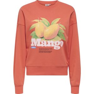 ONLY - Trui - Katoen/Polyester - Lange Mouwen - Ronde Hals