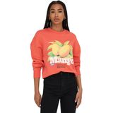 ONLY - Trui - Katoen - Polyester - Ronde Hals