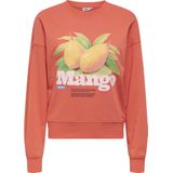 ONLY - Trui - Katoen - Polyester - Ronde Hals