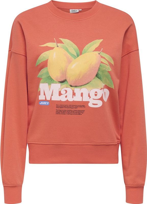 ONLY - Trui - Katoen - Polyester - Ronde Hals