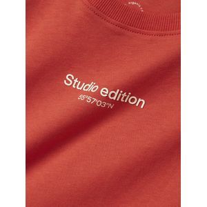 Regular Fit - T-shirt - Groen - Katoen - Rubberen Print