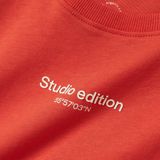 Regular Fit - T-shirt - Groen - Katoen - Rubberen Print