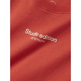 Regular Fit - T-shirt - Groen - Katoen - Rubberen Print